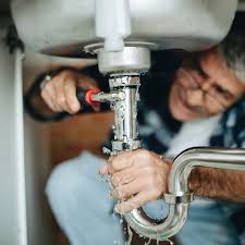 Best Plumbing System Maintenance  in Portland, MI